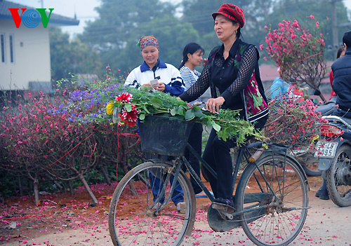По всей стране проводятся разнообразные мероприятия, посвященные Тэту